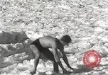 Immagine di Orso Pplar nuotare Chicago Illinois USA, 1934, secondo 18 filmato di repertorio 65675061029