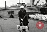 Image of dreadnought New York United States USA, 1920, second 46 stock footage video 65675061037