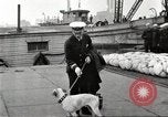 Image of dreadnought New York United States USA, 1920, second 47 stock footage video 65675061037