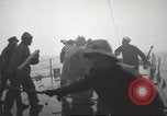 Image of United States battleships Atlantic Ocean, 1923, second 31 stock footage video 65675061044