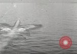 Standbild USA Kriegsschiffe Atlantik, 1923, aus Sekunde 44 historischem Filmmaterial Videoclip 65675061045