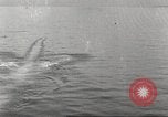 Standbild USA Kriegsschiffe Atlantik, 1923, aus Sekunde 45 historischem Filmmaterial Videoclip 65675061045