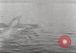 Standbild USA Kriegsschiffe Atlantik, 1923, aus Sekunde 46 historischem Filmmaterial Videoclip 65675061045