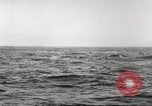 Standbild USA Kriegsschiffe Atlantik, 1923, aus Sekunde 60 historischem Filmmaterial Videoclip 65675061047