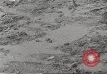 Image of marines Korea, 1952, second 32 stock footage video 65675061060