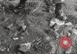 Image of marines Korea, 1952, second 41 stock footage video 65675061060
