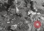 Image of marines Korea, 1952, second 43 stock footage video 65675061060