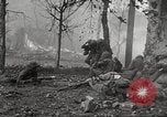 Immagine di 1° Divisione Nautica Seoul COREA, 1952, secondo 51 filmato di repertorio 65675061063
