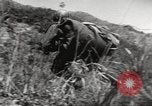 Immagine di Nazioni Unite truppe Hungnam Corea del Nord, 1950, secondo 4 filmato di repertorio 65675061064