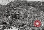 Immagine di Nazioni Unite truppe Hungnam Corea del Nord, 1950, secondo 5 filmato di repertorio 65675061064