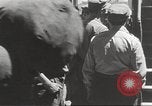 Immagine di Stati Uniti marines Corea, 1952, secondo 42 filmato di repertorio 65675061067