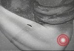 Image of United States ship United States USA, 1953, second 39 stock footage video 65675061076