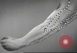 Image of United States ship United States USA, 1953, second 46 stock footage video 65675061076