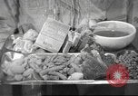 Image of navy personnel United States USA, 1953, second 46 stock footage video 65675061077