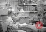 Image navy personnel United States USA, 1953, de la seconde 1 séquences d'archives historiques vidéo 65675061079