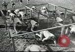 Image Edgewood Arsenal Maryland United States USA, 1944, de la seconde 42 séquences d'archives historiques vidéo 65675061089