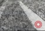 Standbild chemische Kriegsführung Ausbildung Schule Alabama United States USA, 1944, aus Sekunde 62 historischem Filmmaterial Videoclip 65675061090