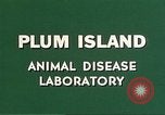 Image of Plum Island Animal Disease Center Long Island New York USA, 1958, second 13 stock footage video 65675061091