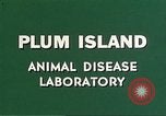 Image of Plum Island Animal Disease Center Long Island New York USA, 1958, second 14 stock footage video 65675061091
