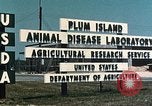 Image of Plum Island Animal Disease Center Long Island New York USA, 1958, second 32 stock footage video 65675061092