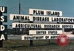 Image of Plum Island Animal Disease Center Long Island New York USA, 1958, second 33 stock footage video 65675061092
