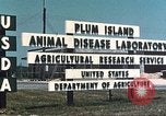 Image of Plum Island Animal Disease Center Long Island New York USA, 1958, second 39 stock footage video 65675061092