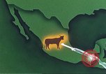 Image of Plum Island Animal Disease Center Long Island New York USA, 1958, second 48 stock footage video 65675061093