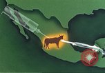 Image of Plum Island Animal Disease Center Long Island New York USA, 1958, second 52 stock footage video 65675061093