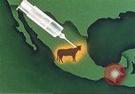 Image of Plum Island Animal Disease Center Long Island New York USA, 1958, second 56 stock footage video 65675061093