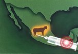 Image of Plum Island Animal Disease Center Long Island New York USA, 1958, second 59 stock footage video 65675061093
