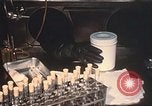 Image of Plum Island Animal Disease Center Long Island New York USA, 1958, second 52 stock footage video 65675061094