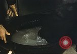 Image of Plum Island Animal Disease Center Long Island New York USA, 1958, second 30 stock footage video 65675061096