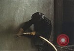 Image of Plum Island Animal Disease Center Long Island New York USA, 1958, second 42 stock footage video 65675061096
