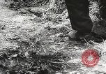Image of German General Eugen Meidl European Theater, 1944, second 51 stock footage video 65675061102
