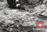 Image of German General Eugen Meidl European Theater, 1944, second 52 stock footage video 65675061102