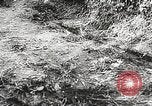 Image of German General Eugen Meidl European Theater, 1944, second 53 stock footage video 65675061102