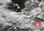 Image of German General Eugen Meidl European Theater, 1944, second 56 stock footage video 65675061102