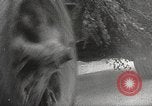 Standbild Deutsche Schutzstaffel Truppen Sowjetunion, 1944, aus Sekunde 10 historischem Filmmaterial Videoclip 65675061104
