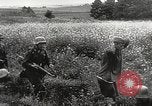 Standbild Deutsche Schutzstaffel Truppen Sowjetunion, 1944, aus Sekunde 60 historischem Filmmaterial Videoclip 65675061104