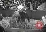 Image of Benito Mussolini Aprilia Italy, 1938, second 27 stock footage video 65675061117