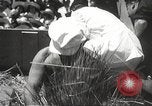 Image of Benito Mussolini Aprilia Italy, 1938, second 29 stock footage video 65675061117