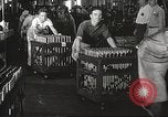 Standbild anti tank Waffen Illinois United States USA, 1940, aus Sekunde 24 historischem Filmmaterial Videoclip 65675061122