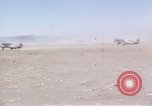 Standbild A-36 Invader dive Bomber Nordafrika, 1943, aus Sekunde 55 historischem Filmmaterial Videoclip 65675061144