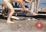 Immagine di Piano distrutto Sicilia Italia, 1943, secondo 42 filmato di repertorio 65675061148