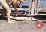 Immagine di Piano distrutto Sicilia Italia, 1943, secondo 44 filmato di repertorio 65675061148