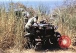 Image of United States soldiers Sicily Italy, 1943, second 49 stock footage video 65675061149