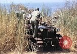 Image of United States soldiers Sicily Italy, 1943, second 51 stock footage video 65675061149