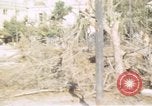 Image of damaged buildings Sicily Italy, 1943, second 11 stock footage video 65675061158