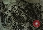 Image of ground targets Sicily Italy, 1943, second 40 stock footage video 65675061166