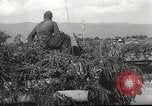 Image of German armor Soviet Union, 1941, second 15 stock footage video 65675061171